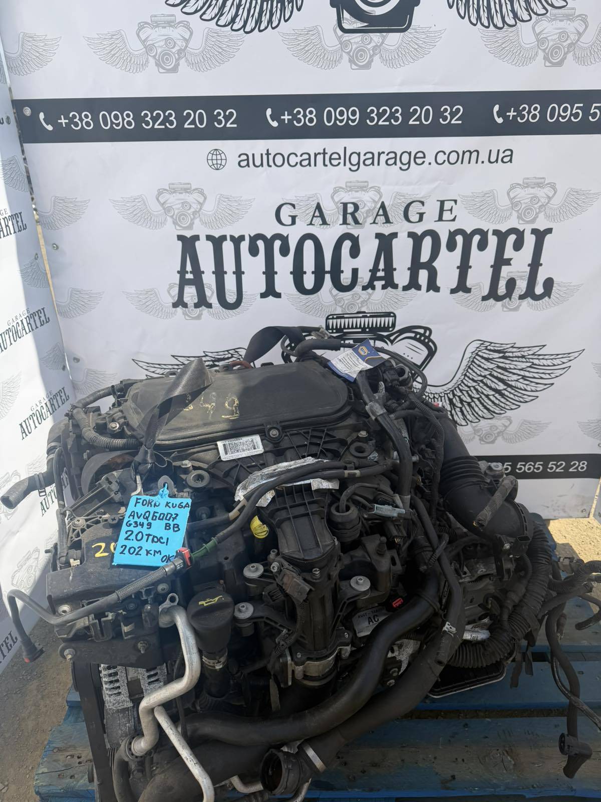 avq6007bb 2.0tdci Ford Kuga I (2008-2012 двигун