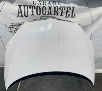 Капот Skoda Fabia 2 21997549