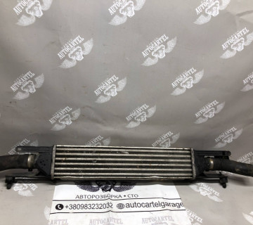 Радіатор інтеркулера Fiat Doblo 51833975