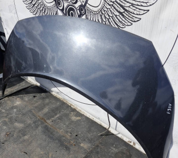 Капот Renault Scenic 2 2003-2009 21691867