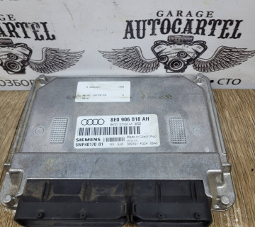 Блок керування двигуном Audi A4 1.6 8V (B6) 2000-2004 8e0906018ah