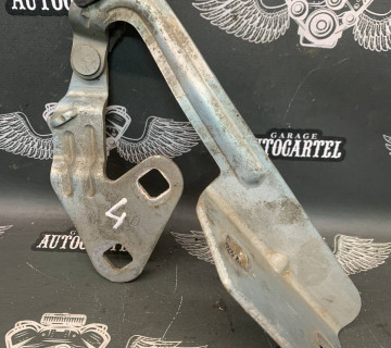 Петля капоту Citroen Picasso 2100000622245