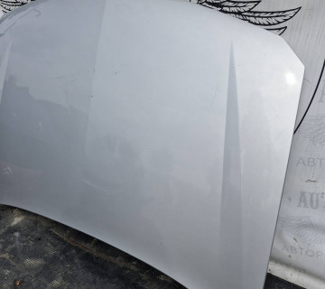 Капот передній Renault Laguna II 2001 – 2005 21691300