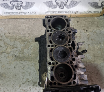 Блок двигуна в зборі VOLKSWAGEN CADDY 2.0 SDI
