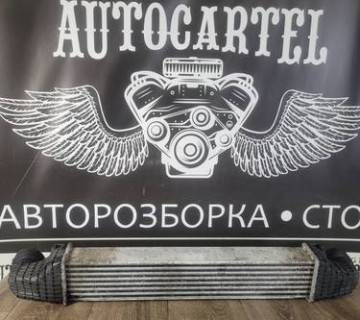 A2115003902 Радіатор інтеркулера Mercedes CLS C219 2009