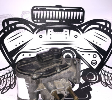 Клапан EGR Audi VW Skoda 1,4-1,6fsi a2c53025941 408265001005z